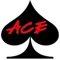 ACE Pool Repair image 1